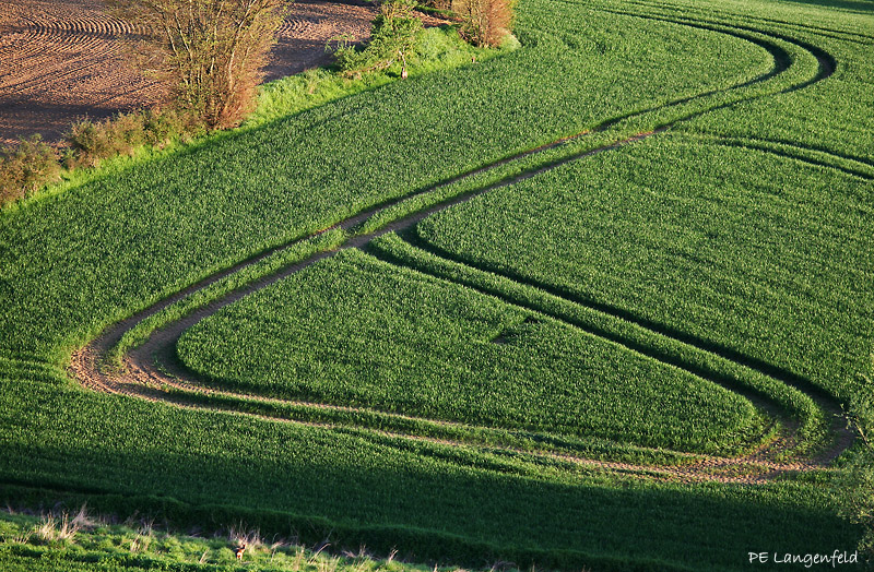 Watching and being watched